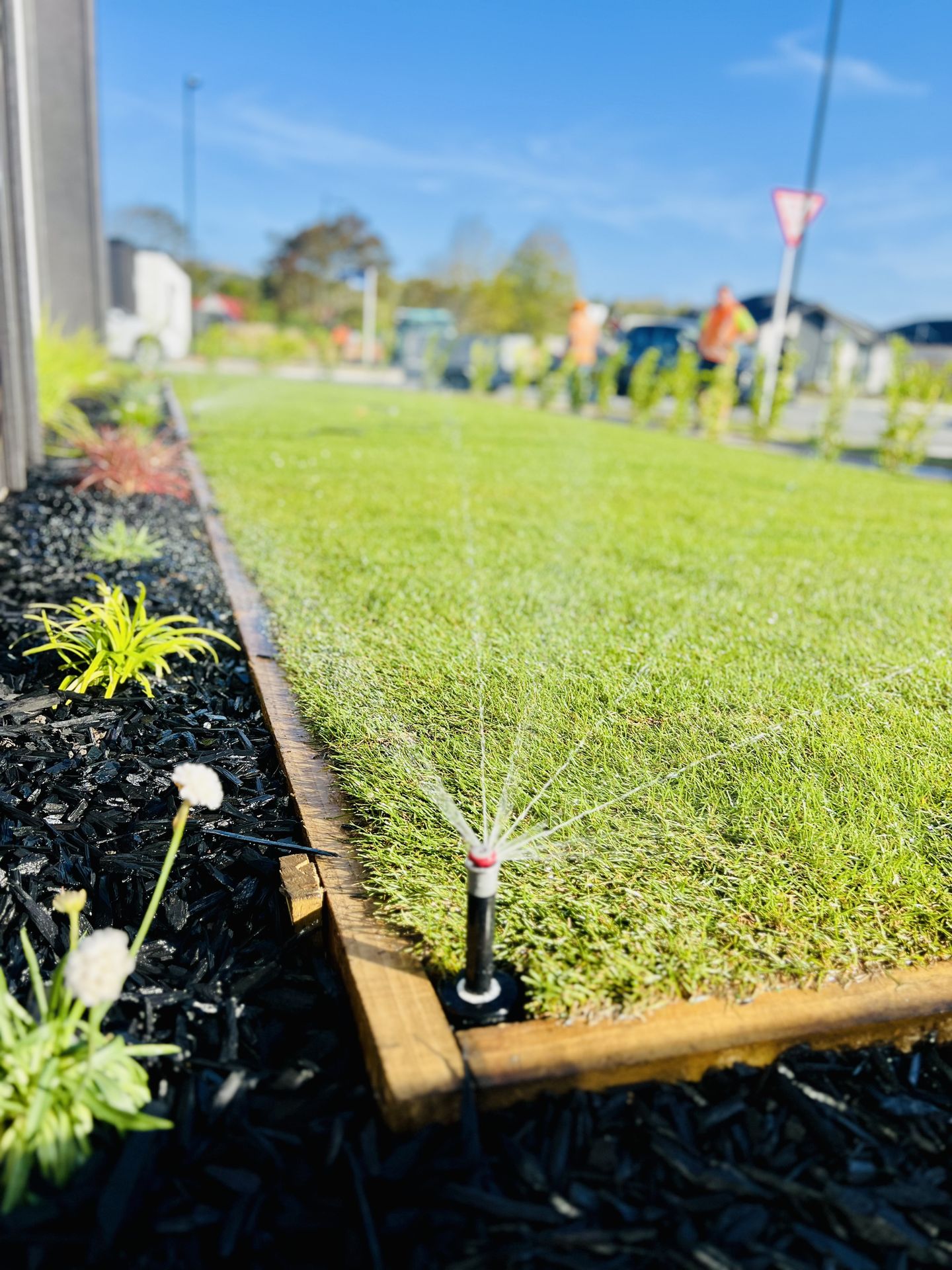 New lawn installation and irrigation system by SK Civil in Christchurch