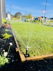 Garden sprinkler watering lawn beside timber edging