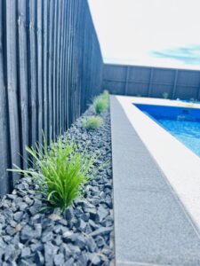 Pool surround with planting and dark fencing