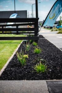 Native planting in a bark mulch garden bed